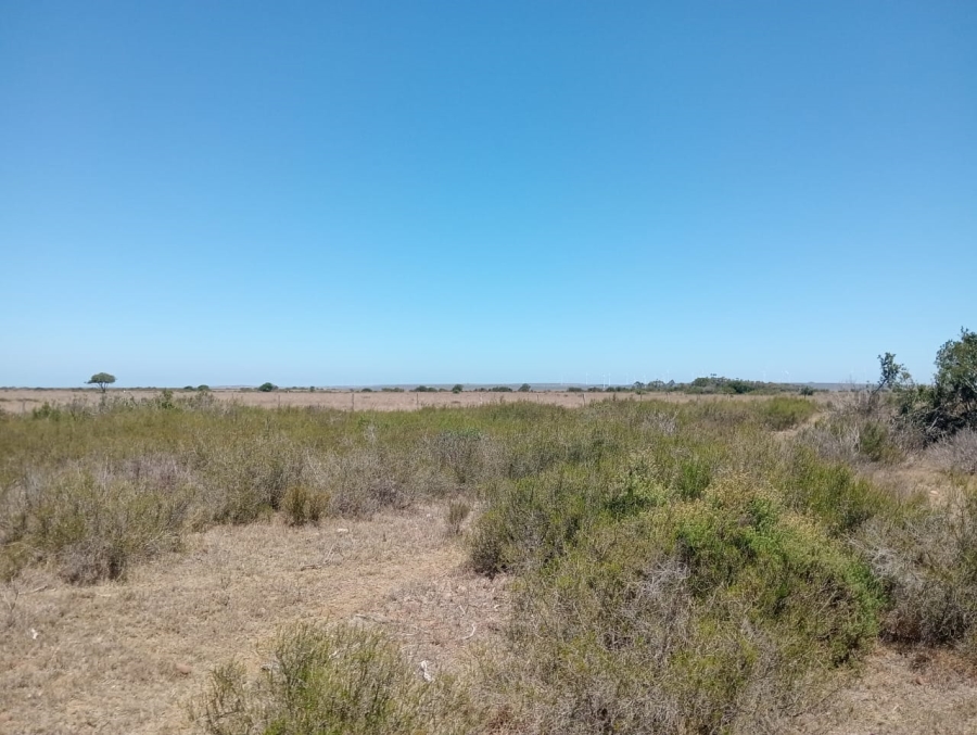 Commercial Property for Sale in Humansdorp Rural Eastern Cape